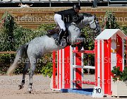 Casadei My Forever GioCav2013 S5 1683 : Campionati Italiani Giovani Cavalli, Casadei Mirco, Cattolica, My Forever, ph Stefano Secchi ©